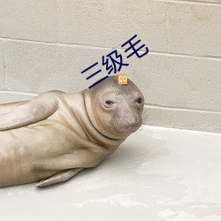 三级毛 （知识经济）