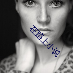 在路上小说 （数往知来）