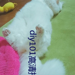 diy101高清播放专线app下载安装