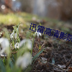 迅雷高清影院(院)