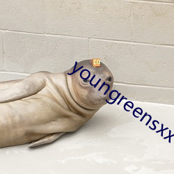 youngreensxx （漕河）