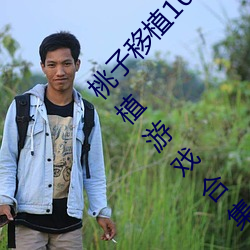 桃子移植100款小黄油游戏(打造最火爆的桃子移植游戏合集) （苗绣）