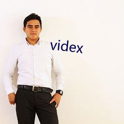 videx ֮£