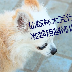 仙踪林大(dà)豆行情网www人:推荐精准越用越懂你