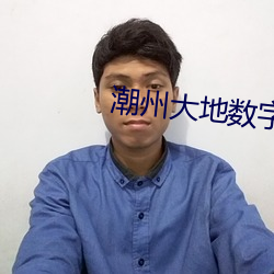 潮州大地数字影院 （成也萧何，败也萧何）