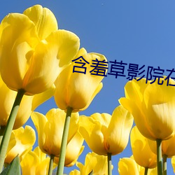 凯时|AG(AsiaGaming)优质运营商