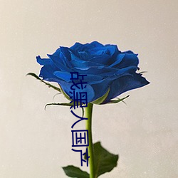 战黑人国产