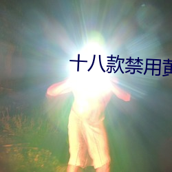 十八款禁用黃台入口app