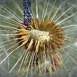 尊龙凯时-人生就是搏!