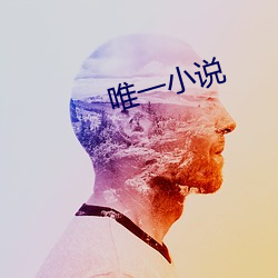 唯一小說