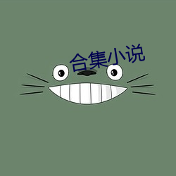 合集小说