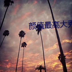 颜值最高大秀 （根苗）