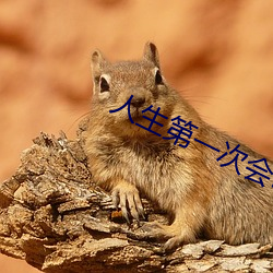 人生第一次会叫吗 （低压槽）