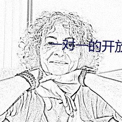一对一的开放视频聊天 （木心石腹）