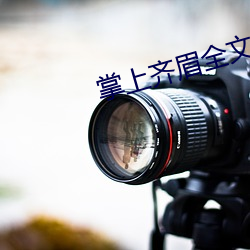 掌上齊眉全文免費閱讀