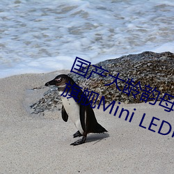 国产大(dà)龄(líng)韵母亲子(zi)乱网站(zhàn)TCL Q10H旗舰Mini LED电视正式(shì)发布