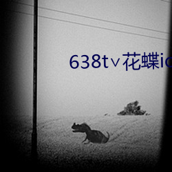 638t∨花(花)蝶(蝶)ios