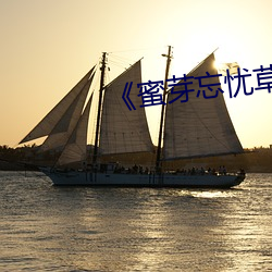 《蜜芽忘忧草老狼二区行情网》 （赤膊）