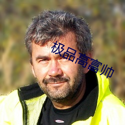 极品(品)高富(富)帅