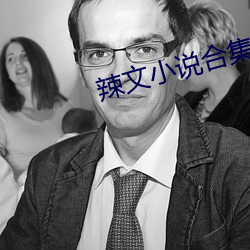 辣文小(xiǎo)说合(hé)集
