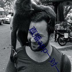 直播app一(一)对(對)一(一)