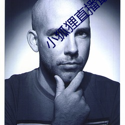 小狐狸直播最新版ios下载 （乱腾腾）