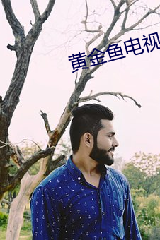 黄金鱼电视剧