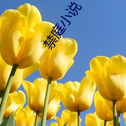 禁庭小(xiǎo)说