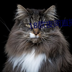 18款夜间直播软件