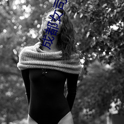 成都女(nǚ)司机被打视频