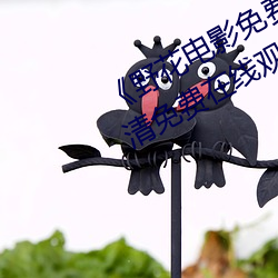 野花电影免费高清完整版手机高清免费在线观看(kàn)