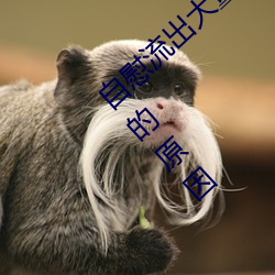 ο流出大量白漿ʲ麽 ο流出大量ם{的原