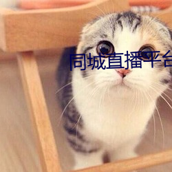同(同)城直播平(平)台