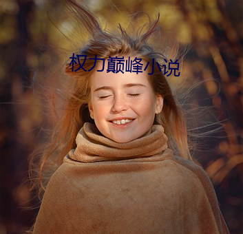 权力巅峰小说