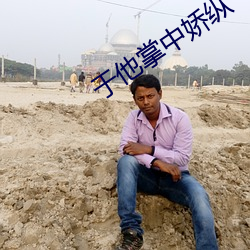 于他(他)掌中娇纵(縱)