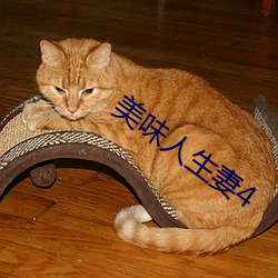 金年会 | 诚信至上金字招牌
