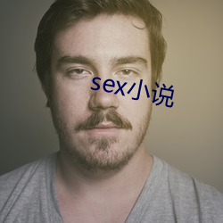 sex小說