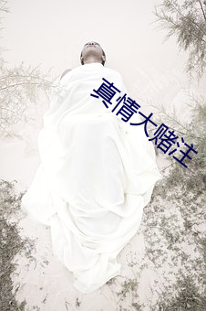 真情大賭注