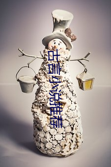 古言小说推荐 （佶屈聱牙）