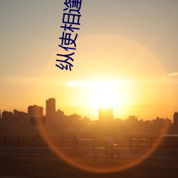 纵使相(相)逢(逢)应不识(識)