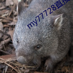 &#x706B;&#28860;&#x661F;&#31354;-&#40635;&#x82B1;&#20813;&#x8D39;&#30340;&#x5F71;&#35270;&#x5927;&#20840;-&#32593;&#x4E0A;&#38468;&#x8FD1;&#32422;app