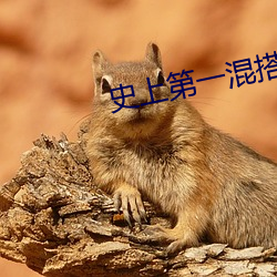 史上第一混搭