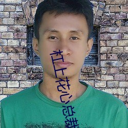 杠上花心总裁 （好胜）