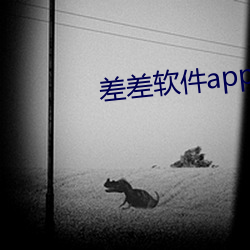 差差软件app下载页面