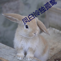 凤白泠独孤鹜