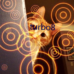 turbo8 （舞池）