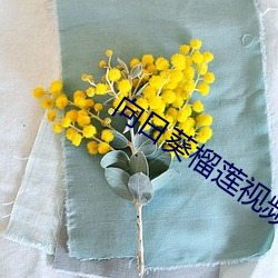 向日葵榴莲视频黄(huáng)色下(xià)载