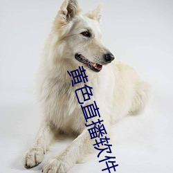 黄色直播软件app （三级跳远）
