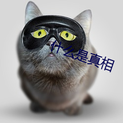 什么是真相