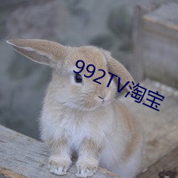 992TV淘宝